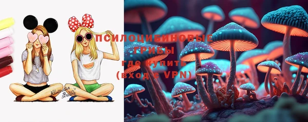 спайс Алексеевка