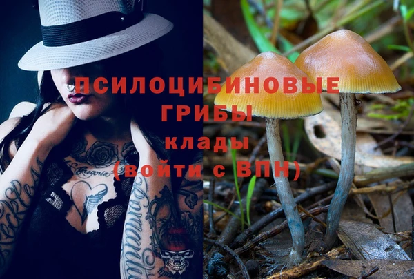спайс Алексеевка
